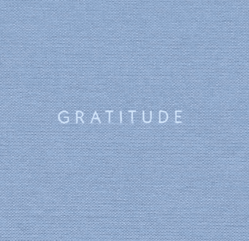 Kartotek Notebook B6 Gratitude Journal Light blue