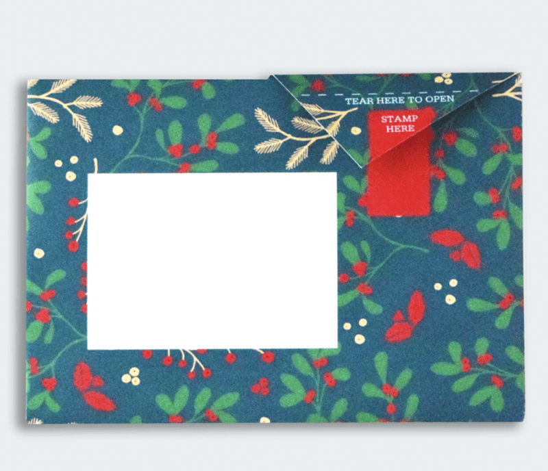 Pigeon The Letter, 6 stk Winter Berries